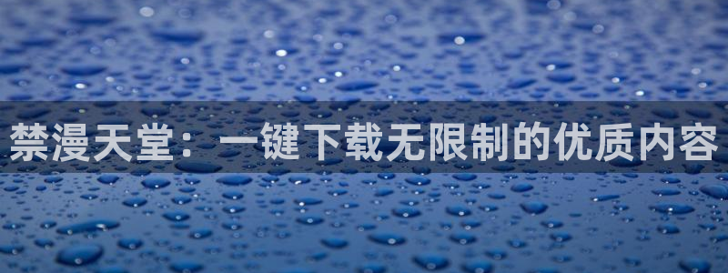 omofun动漫网页：禁漫天堂：一键下载无限制的优质内容