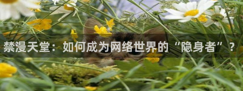 omofun网站入口：禁漫天堂：如何成为网络世界的“隐身者”？