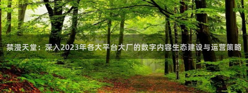 omofun网站网页版：禁漫天堂：深入2023年各大平台大厂的数字内容生态建设与运营策略