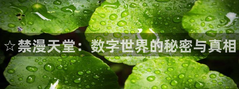 动漫天堂入口ios版：☆禁漫天堂：数字世界的秘密与真相