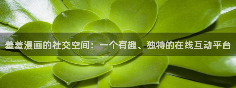 omofun官方网站进入：羞羞漫画的社交空间：一个有趣、独特的在线互动平台