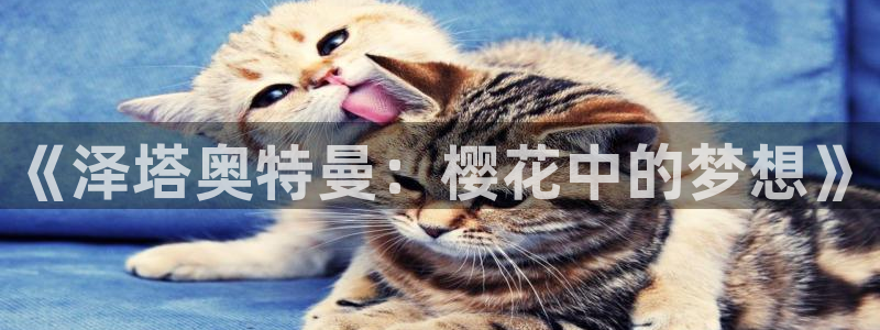 omofun网页版免费：《泽塔奥特曼：樱花中的梦想》