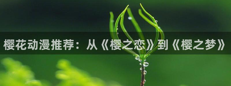 动漫天堂网页版：樱花动漫推荐：从《樱之恋》到《樱之梦》