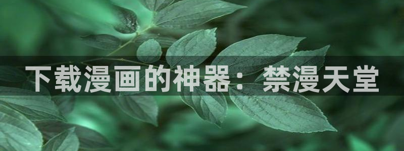 omofun网页版怎么没了：下载漫画的神器：禁漫天堂