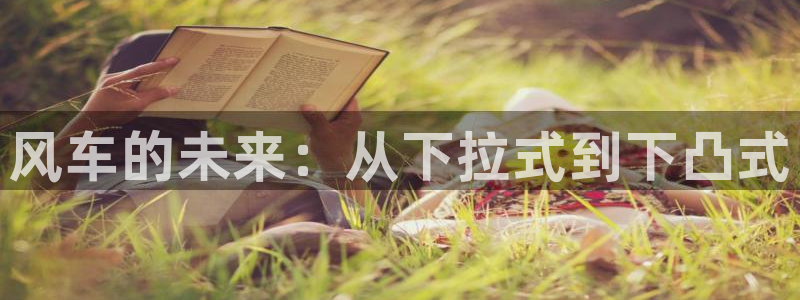 omofun 动漫在线观看免费全集：风车的未来：从下拉式到下凸式