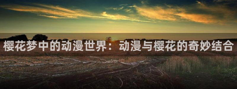 omofun正版下载安卓：樱花梦中的动漫世界：动漫与樱花的奇妙结合