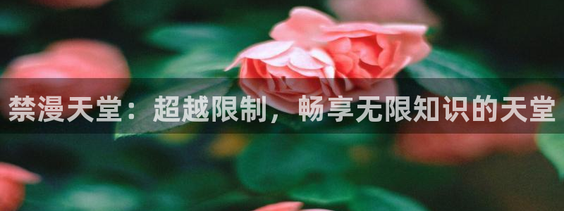 omofunapp官网下载：禁漫天堂：超越限制，畅享无限知识的天堂