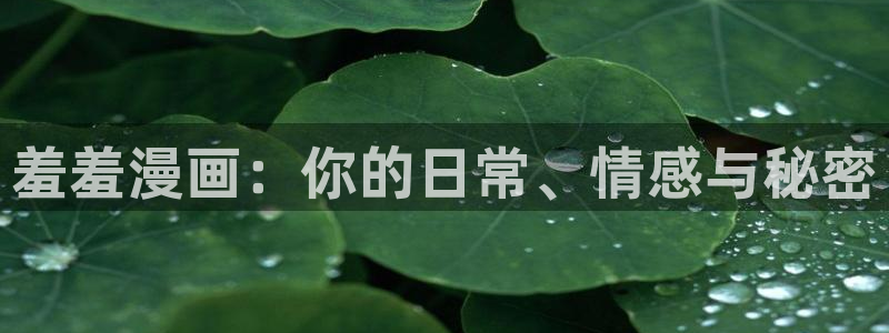 omofun官方网页：羞羞漫画：你的日常、情感与秘密