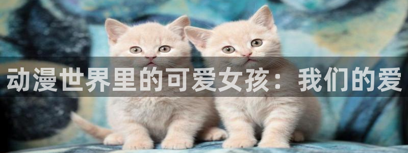 omofun网页版怎么没了：动漫世界里的可爱女孩：我们的爱