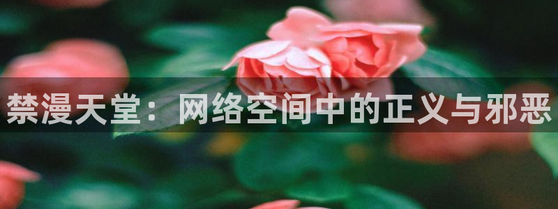 omofun动漫官方正版入口：禁漫天堂：网络空间中的正义与邪恶